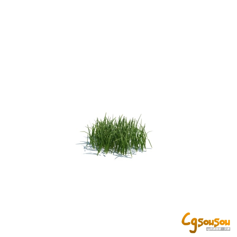 小草，大草，杂草，梭梭草，水草