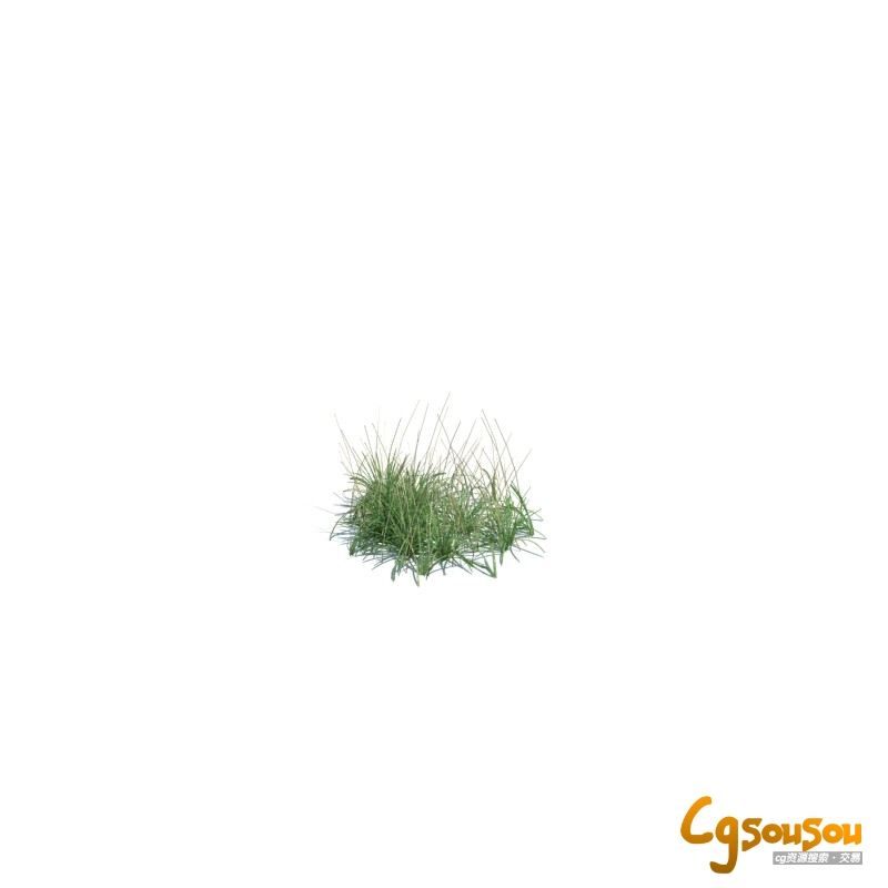 小草，大草，杂草，梭梭草，水草